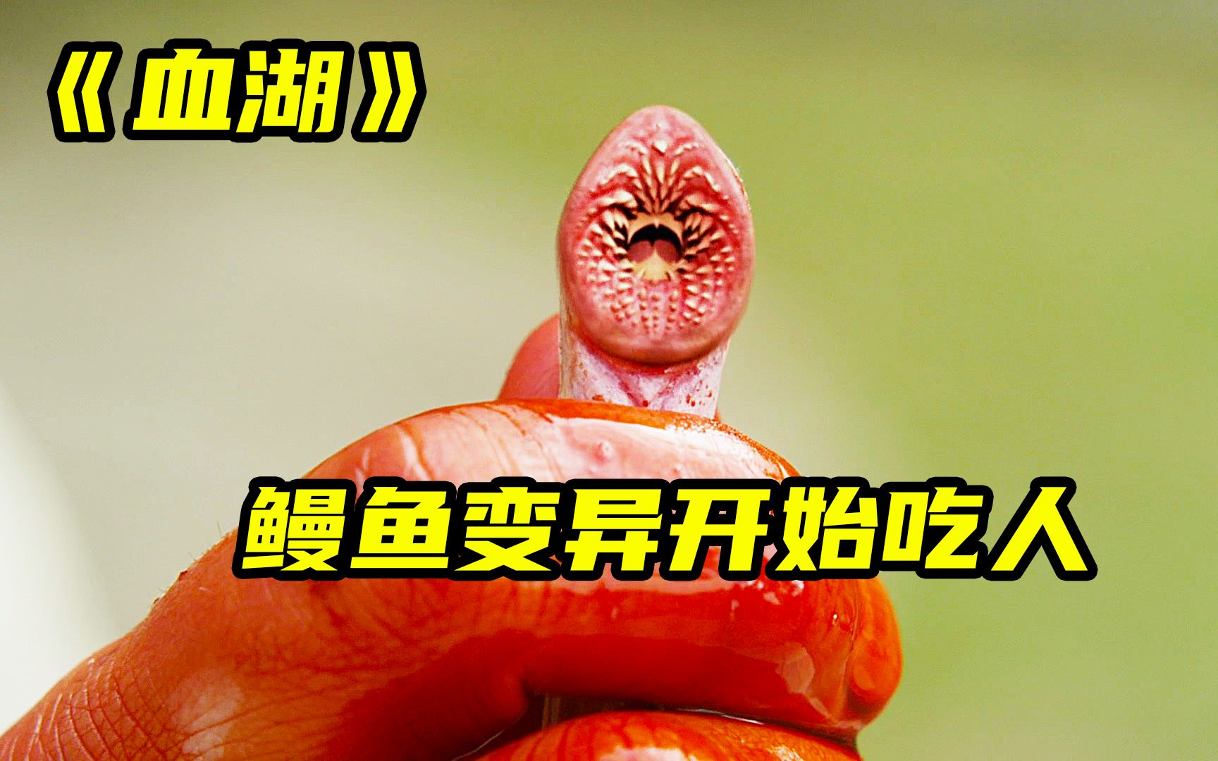 《血湖》鳗鱼成精了,长满锋利牙齿,吃人不用吐骨头