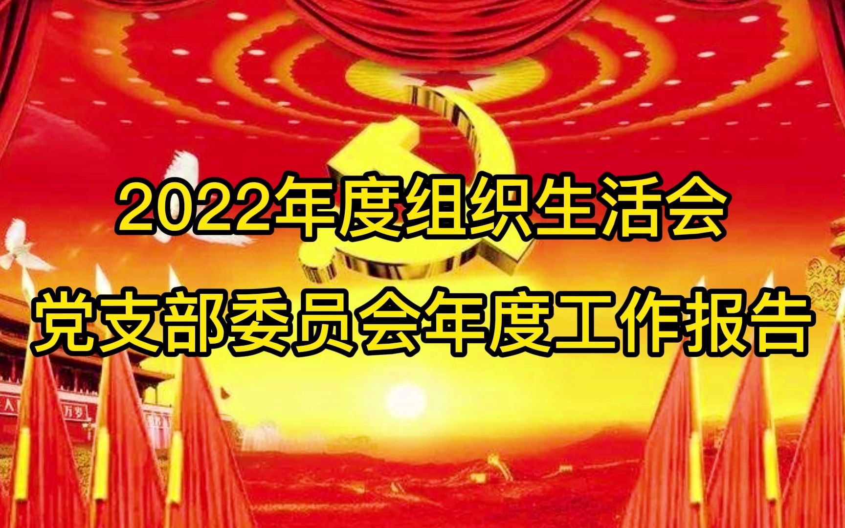 2022年度组织生活会党支部委员会年度工作报告哔哩哔哩bilibili