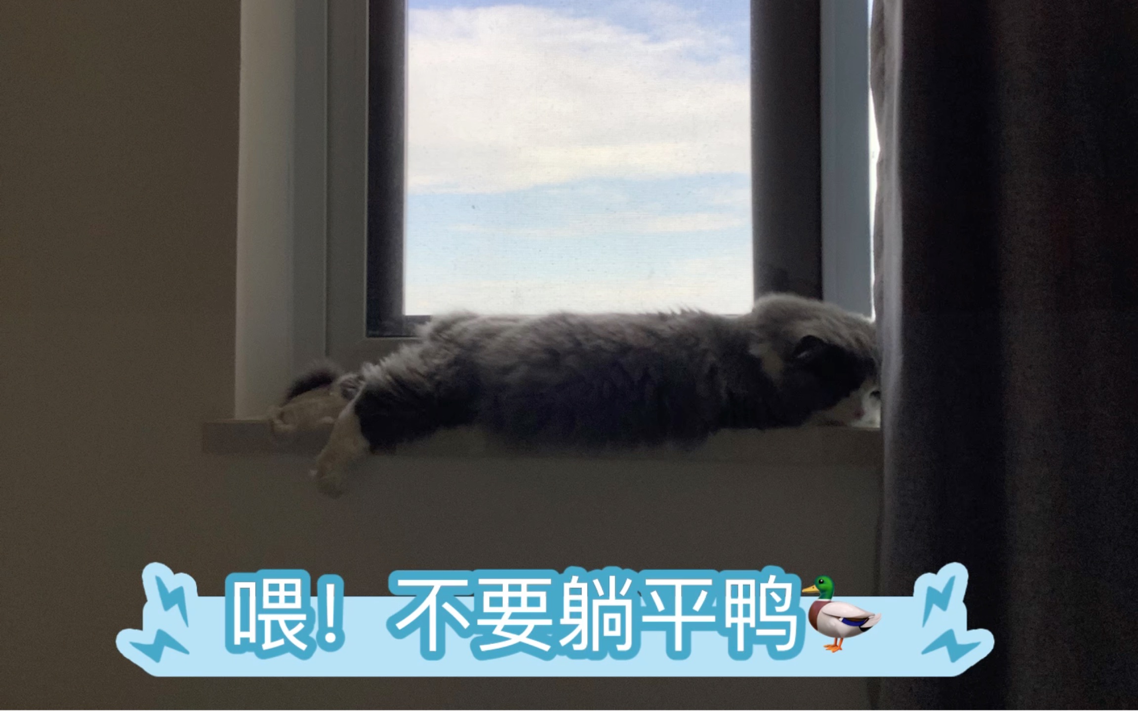 高考英语句子翻译练习哔哩哔哩bilibili