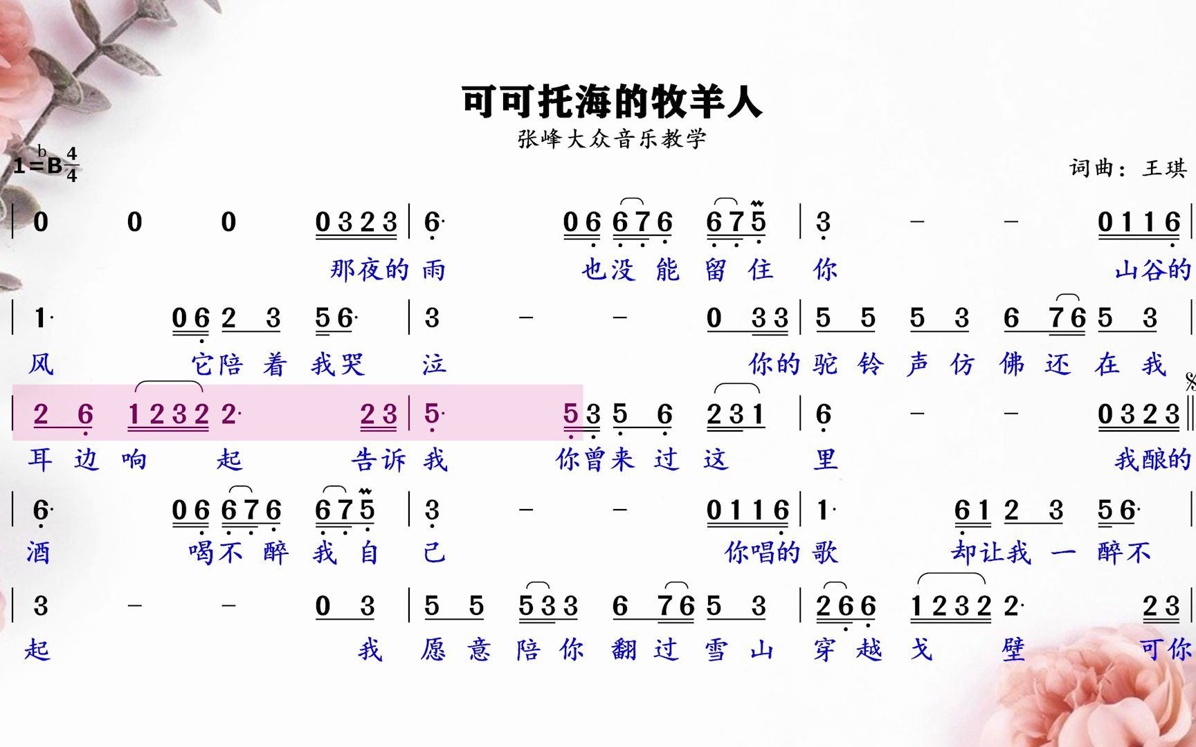 王琪经典代表作可可托海的牧羊人简谱领唱练习超好听