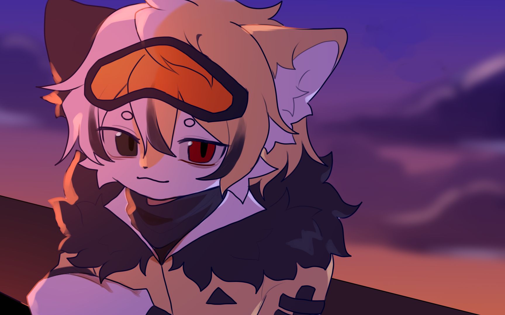 【兽设】AMERICAS |animation meme_哔哩哔哩_bilibili
