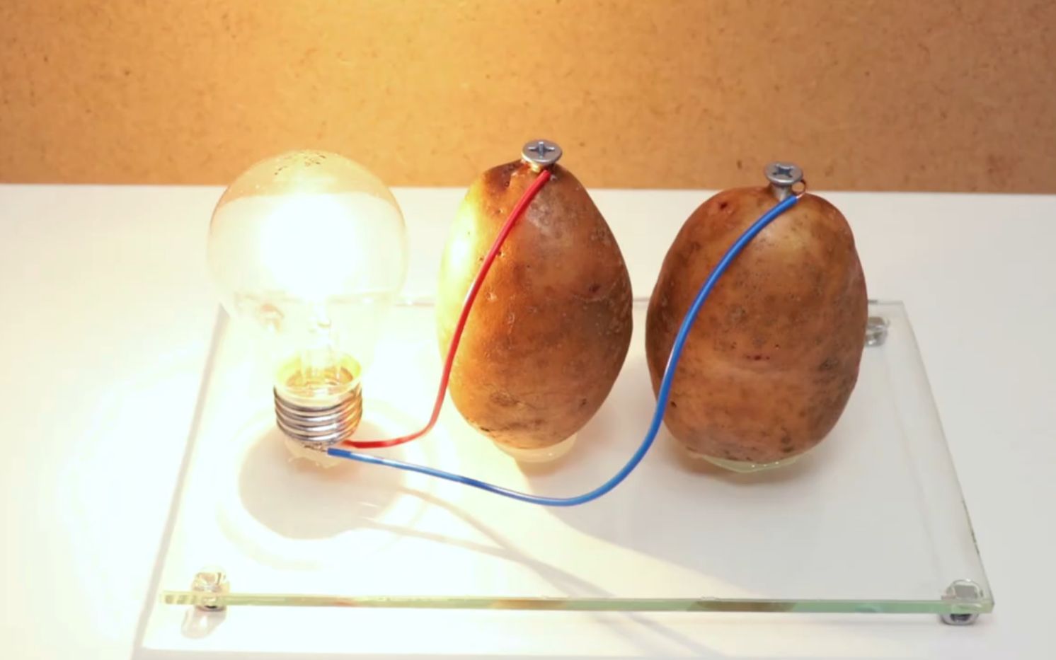 两颗土豆用电线连接竟然能点亮灯泡
