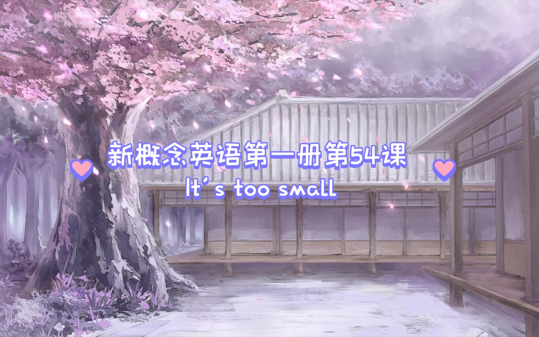 新概念英语第一册第54课 It's too small哔哩哔哩bilibili