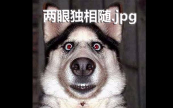 【图解喊麦】一人饮酒醉图解版,看我的眼神!