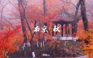 Download Video: 随后 便是你爱的秋天，这里是江苏南京