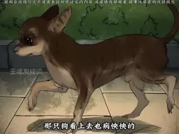 Descargar video: 犬无八年，鸡无六载，猫不过十