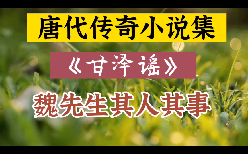 唐朝往事,唐代传奇小说集《甘泽谣》故事之《魏先生》哔哩哔哩bilibili