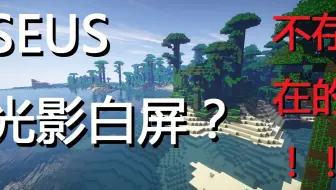 小能 教大家如何解决10系显卡开光影出现白屏的问题 哔哩哔哩 Bilibili