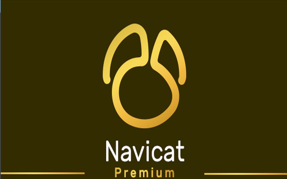 最新Navicat Premium 16的激活与永久使用教程(小白教程)哔哩哔哩bilibili