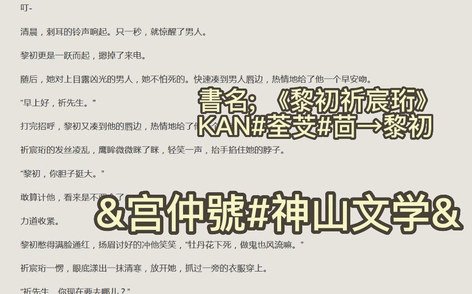 《黎初 祈宸珩》《黎初 祈宸珩》经典小说推荐哔哩哔哩bilibili