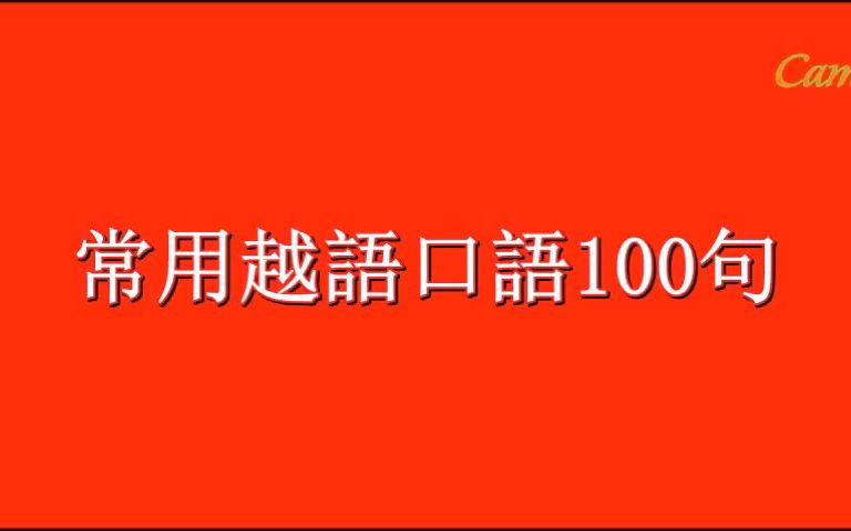 [图]越南人常用 - 口語100 句 100 câu khẩu ngữ người Việt Nam thường dùng I KHAUNGU EP1