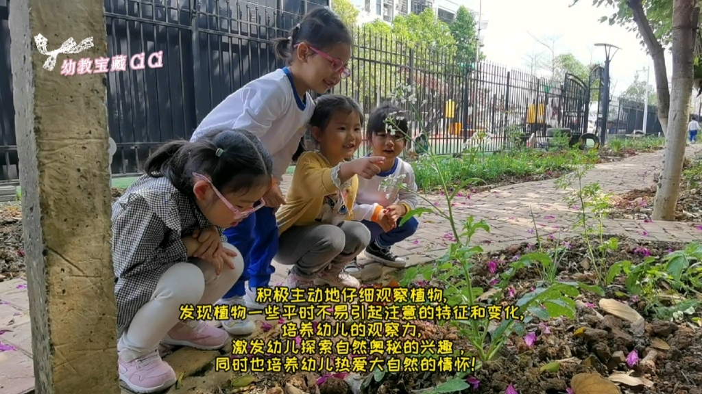 幼儿园植物园里的自然活动:一棵植物引发孩子们的好奇心和探索欲望.让孩子在探索自然的奥秘中,个性和能力得到相应的发展!哔哩哔哩bilibili