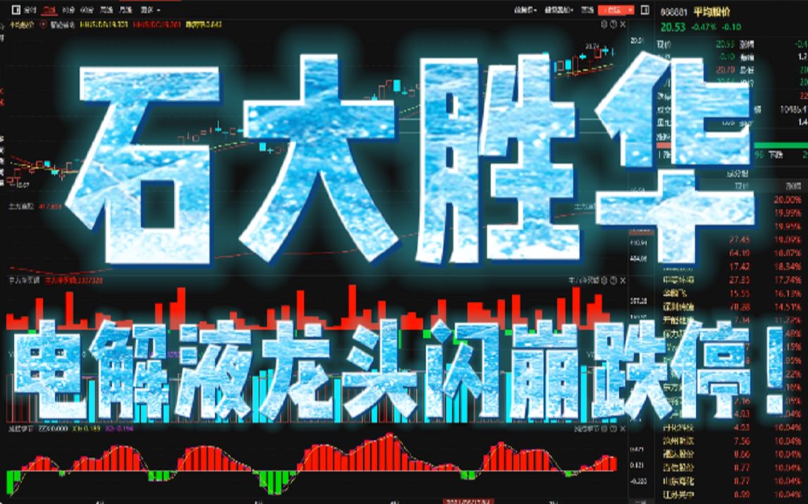 石大胜华:电解液龙头闪崩跌停!哔哩哔哩bilibili