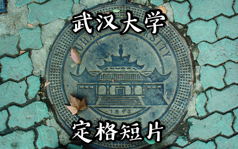 【武汉大学】我花了八个月时间给学校拍了个定格短片:武大定格哔哩哔哩bilibili