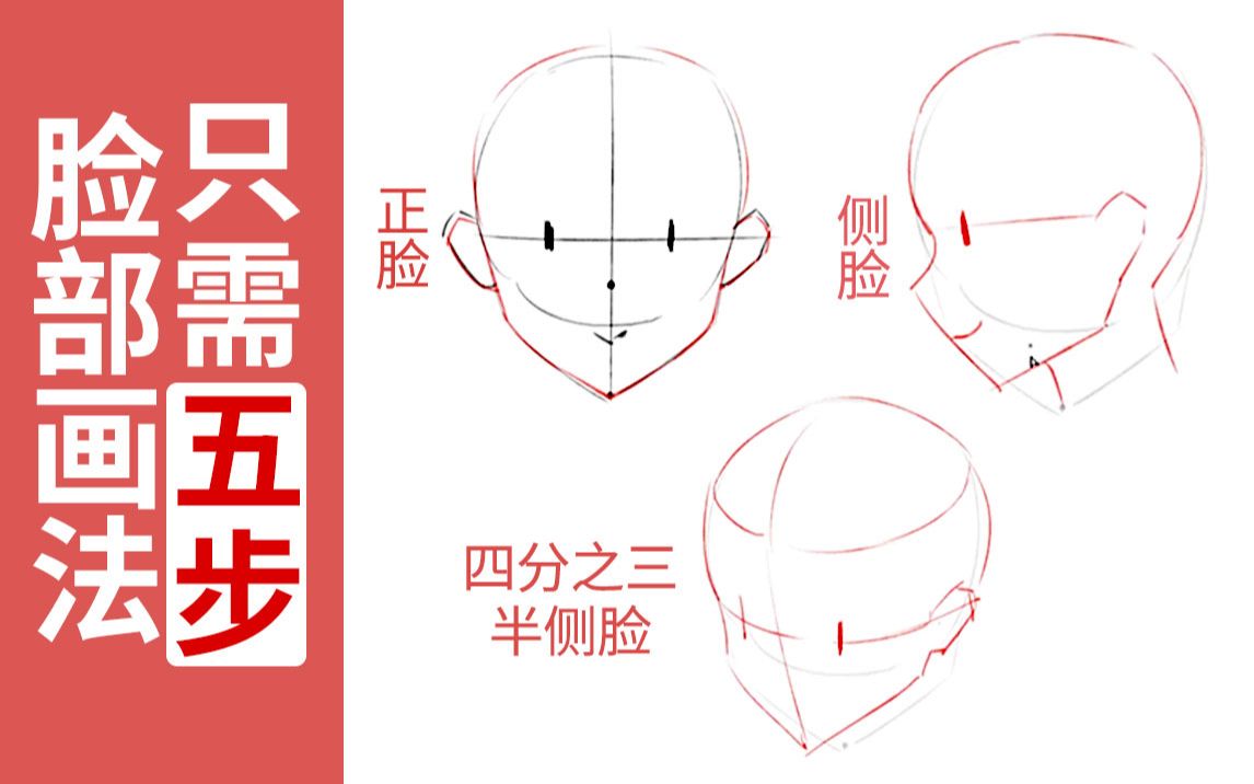 活动作品零基础头部教程二次元头部正确的起稿方式