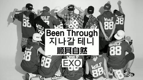 Been Through Exo 字幕 You Shine Like The Stars You Light Up My Heart 哔哩哔哩