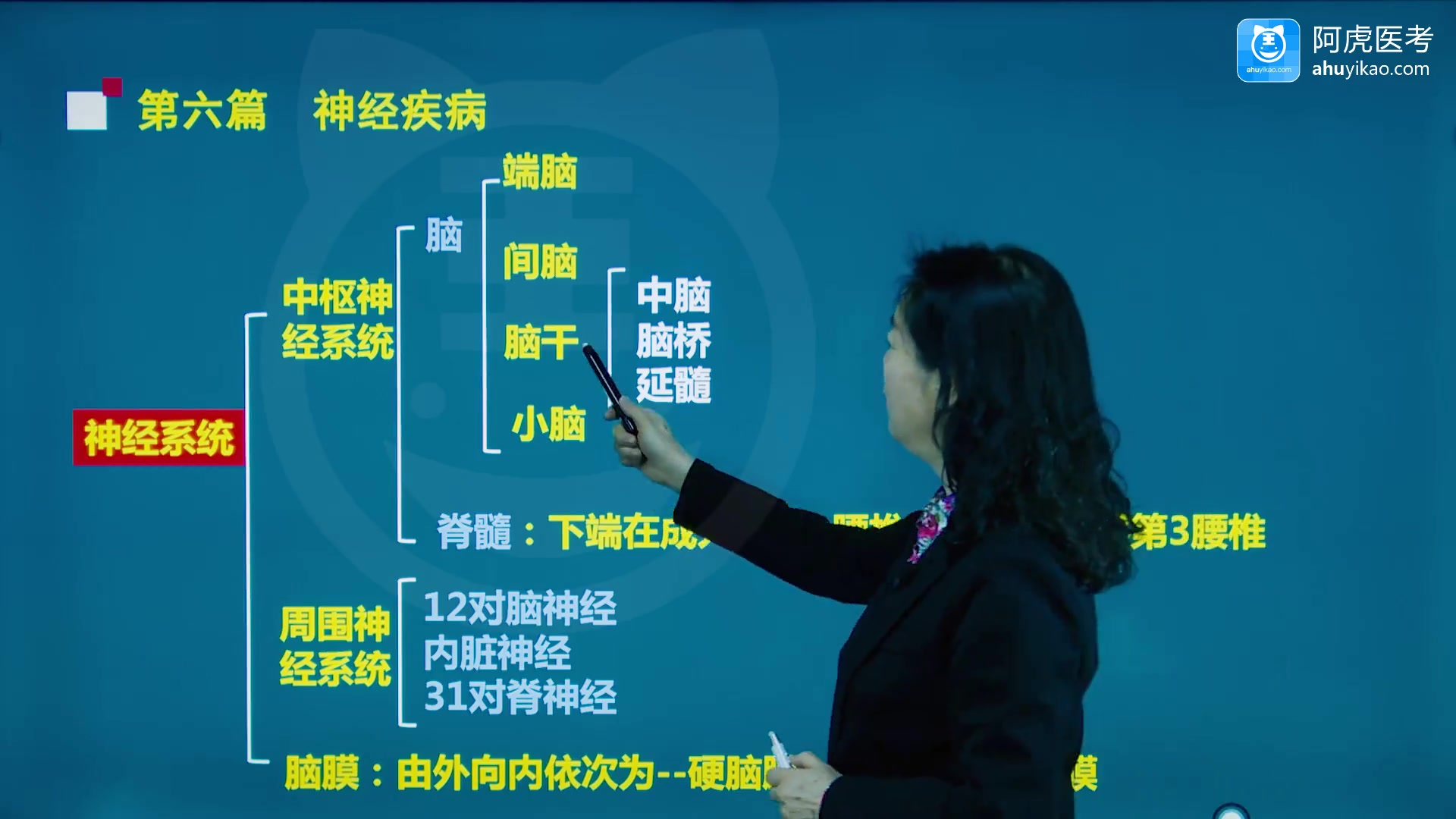 [图]2022阿虎医考康复医学治疗技术士考点精讲课考试视频课程培训课件讲解