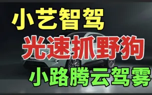 Descargar video: 精彩绝伦，一镜到底！华为小艺乡村小路狂奔腾云驾雾！阿维塔11辅助驾驶