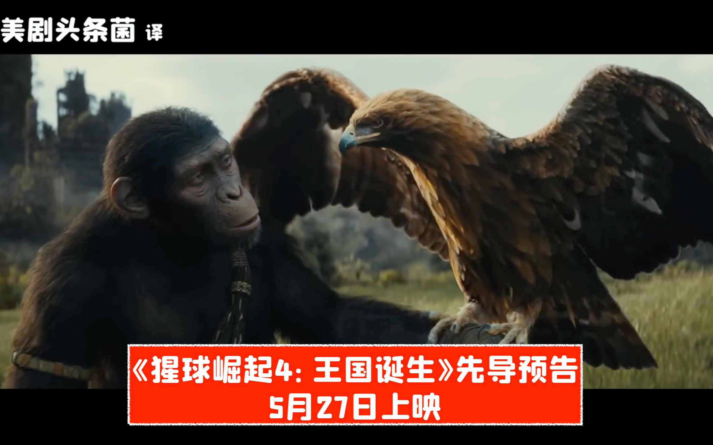 [图]【中字】《猩球崛起4：王国诞生》先导预告，5月27日上映