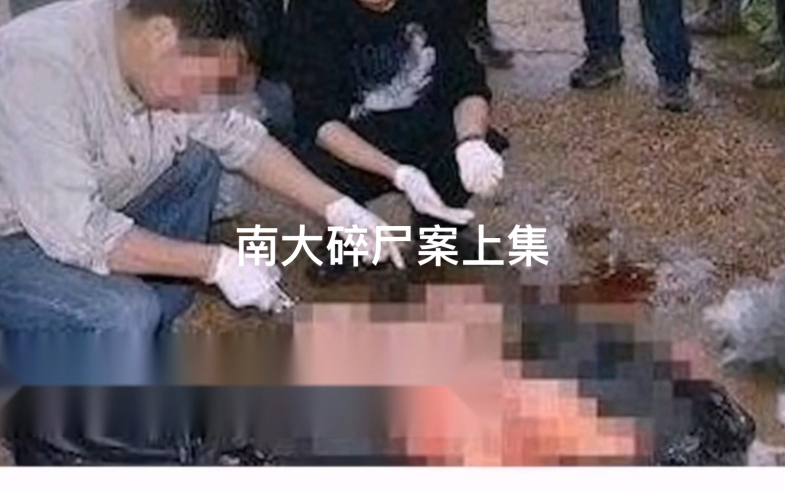 [图]南大碎尸案上集