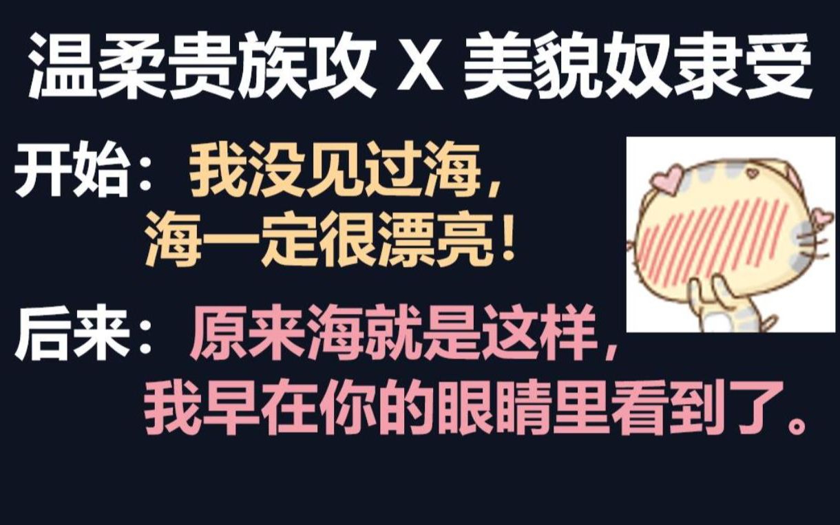 【原耽推文】温柔贵族攻x美貌奴隶受!第一次见海,是在你眼眸里!甜甜甜!《我的奴隶》哔哩哔哩bilibili