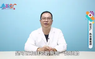 Download Video: 怎么能除掉屋内的细小病毒？