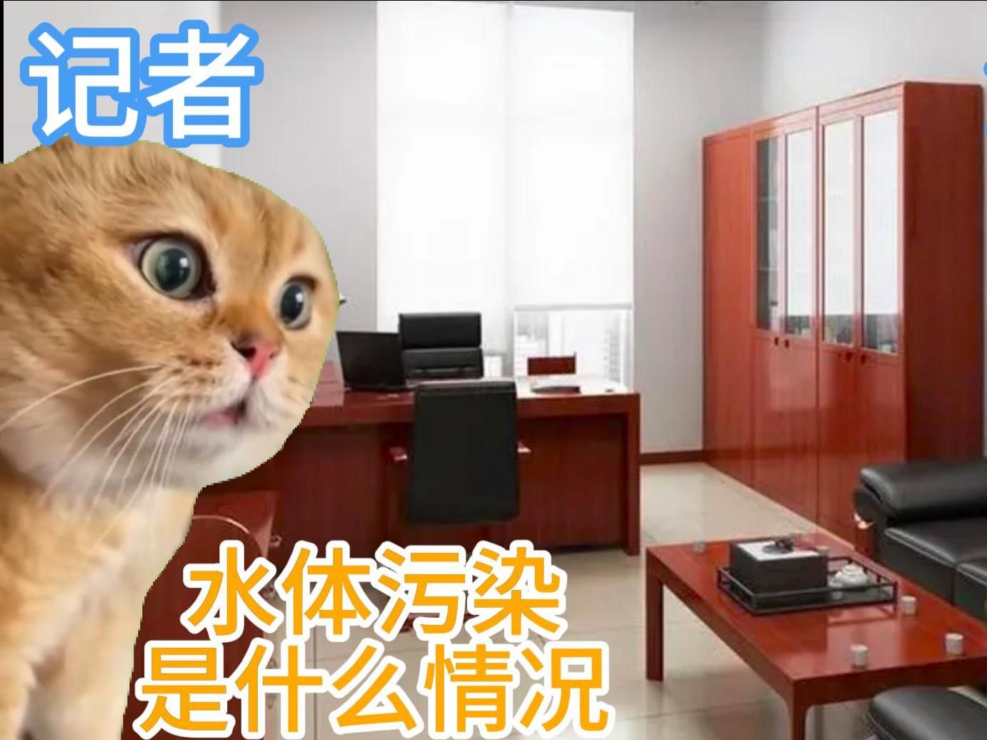 安徽滁河污染 | 猫meme 滁州市全椒县 茅台局长 窦平 喝茅台也能喝死人 拿茅台比方污水的局长简历被撤 原神 旅行的意义 讨坏型人格为何更受欢迎哔哩哔哩...