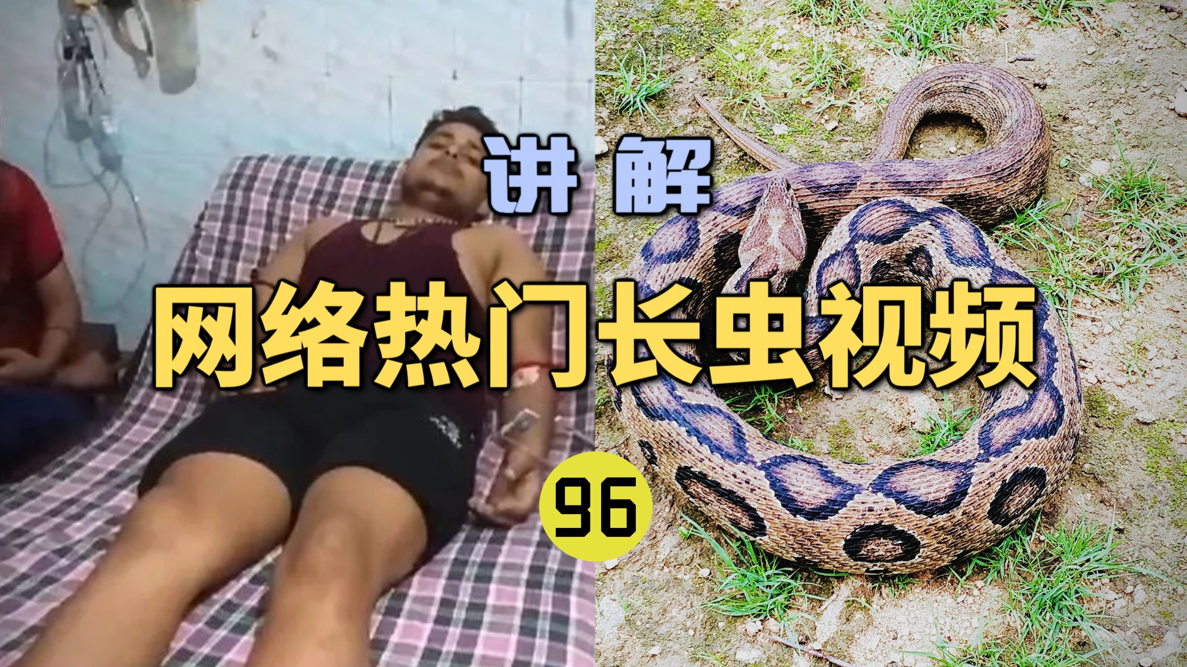 网络热门长虫视频(96)男子在40天内被毒蛇咬伤7次？竟然还活着！