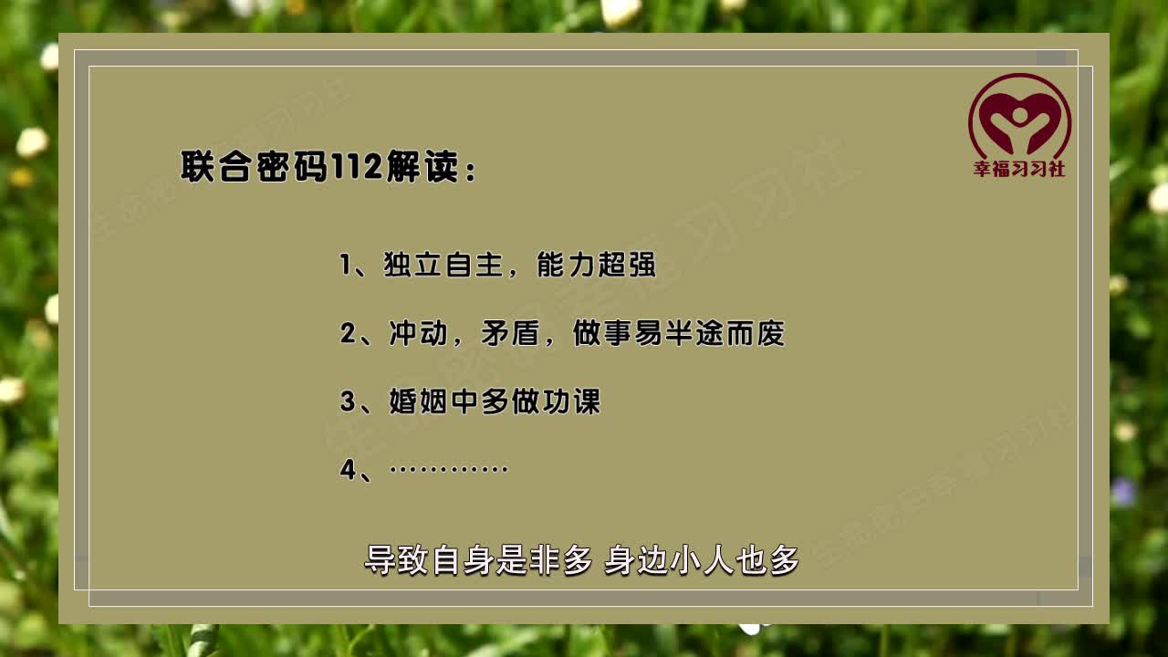 生命数字密码解读,生命密码81组联合密码解析之112哔哩哔哩bilibili