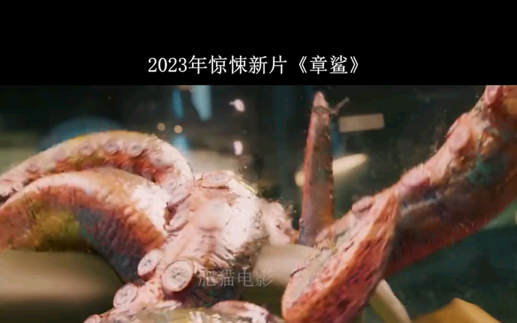 《章鯊》2023年全新驚悚大片,史前巨獸章鯊席捲人類,震撼來襲!