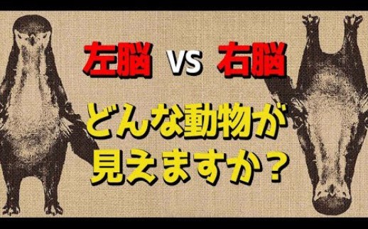 太真实了,头脑倾向测试左脑型还是右脑型@果仁字幕组哔哩哔哩bilibili