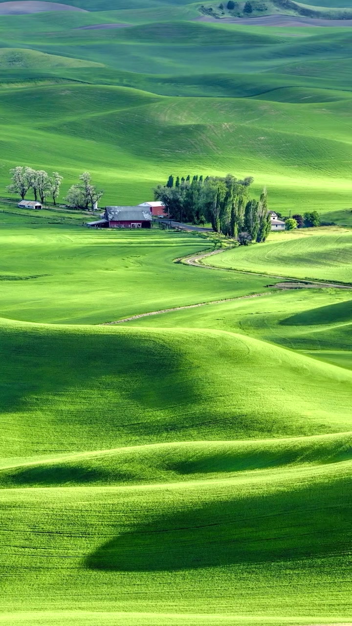 草原深处有人家,都说绿草地看了很治愈,不管喜欢与否,您喜欢就好!