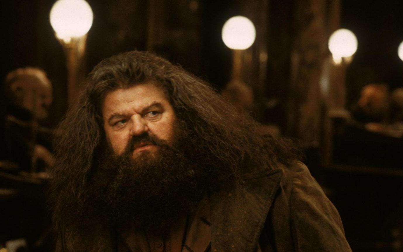 混剪致霍格沃茨永远的猎场看守海格