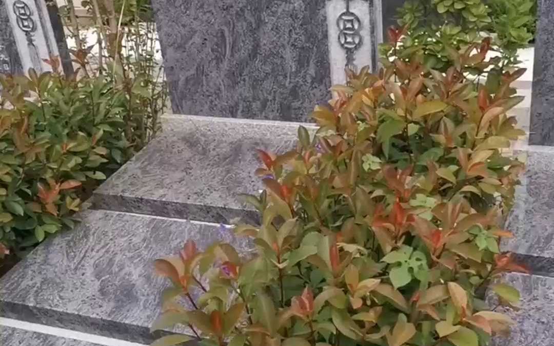 安阳找公墓推荐天寿园_安阳的陵园