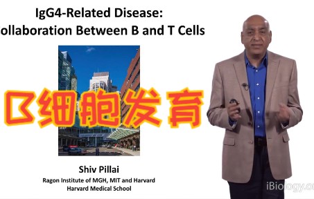 Bruton Tyrosine Kinase Signaling哔哩哔哩bilibili