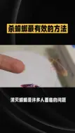 杀蟑螂最有效的方法