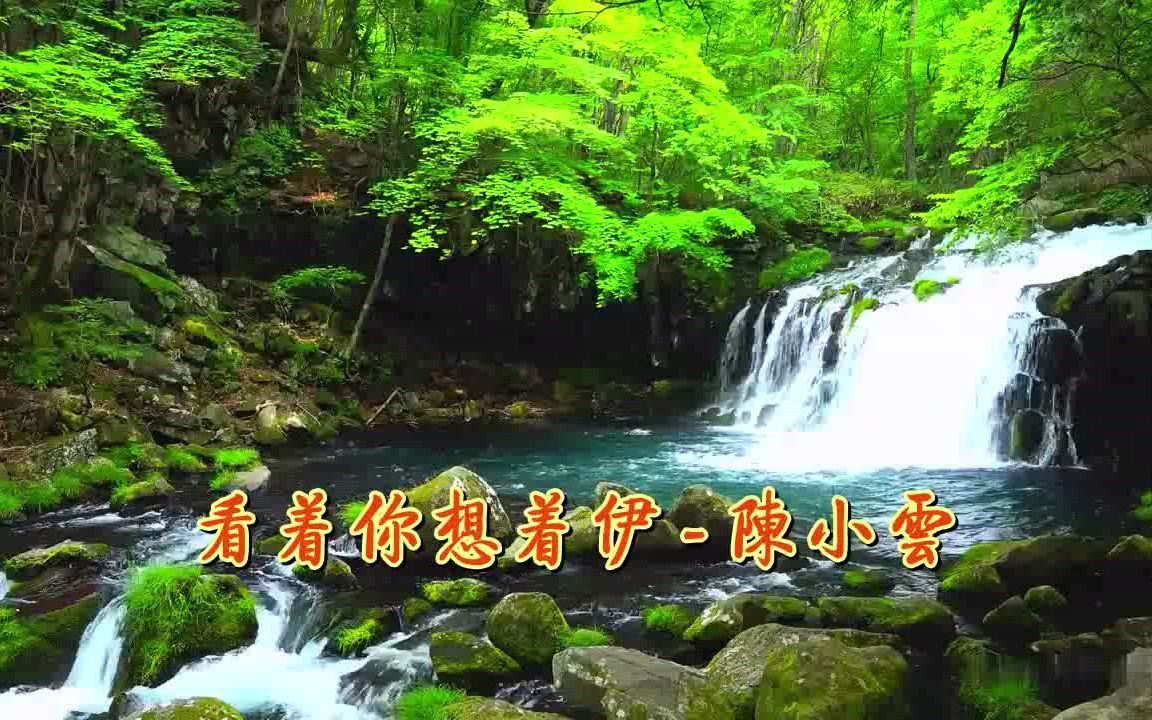 [图]闽南语歌曲《看着你想着伊》陈小云演唱