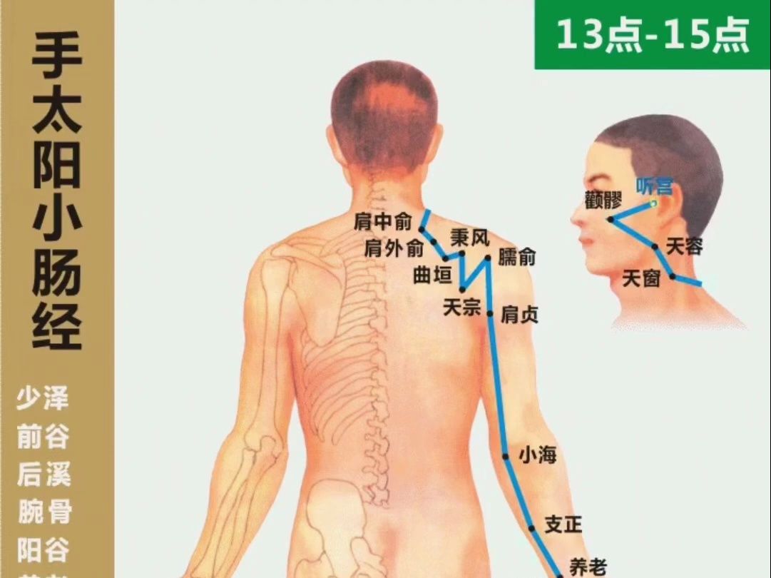 12经络循行路线(下)一定收藏起来!哔哩哔哩bilibili