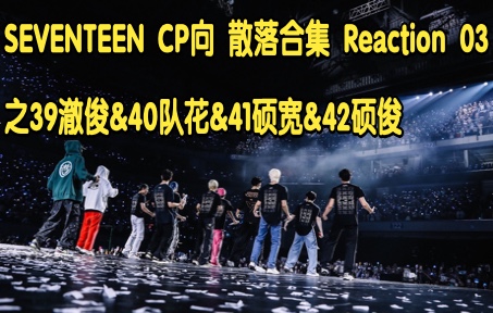 SEVENTEEN CP向 散落合集 Reaction 03 之39澈俊&40队花&41硕宽&42硕俊哔哩哔哩bilibili