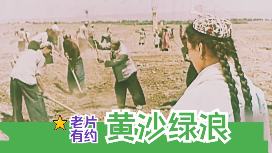 [图]《黄沙绿浪 (1965)》少数民族维吾尔族题材大跃进时期沙漠治理 高清修复彩色老电影完整版免费观看 怀旧经典童年回忆