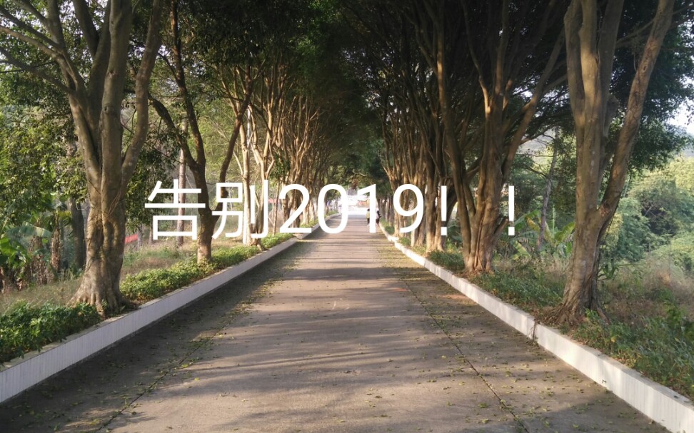 [图]2019留下遗憾，再见！