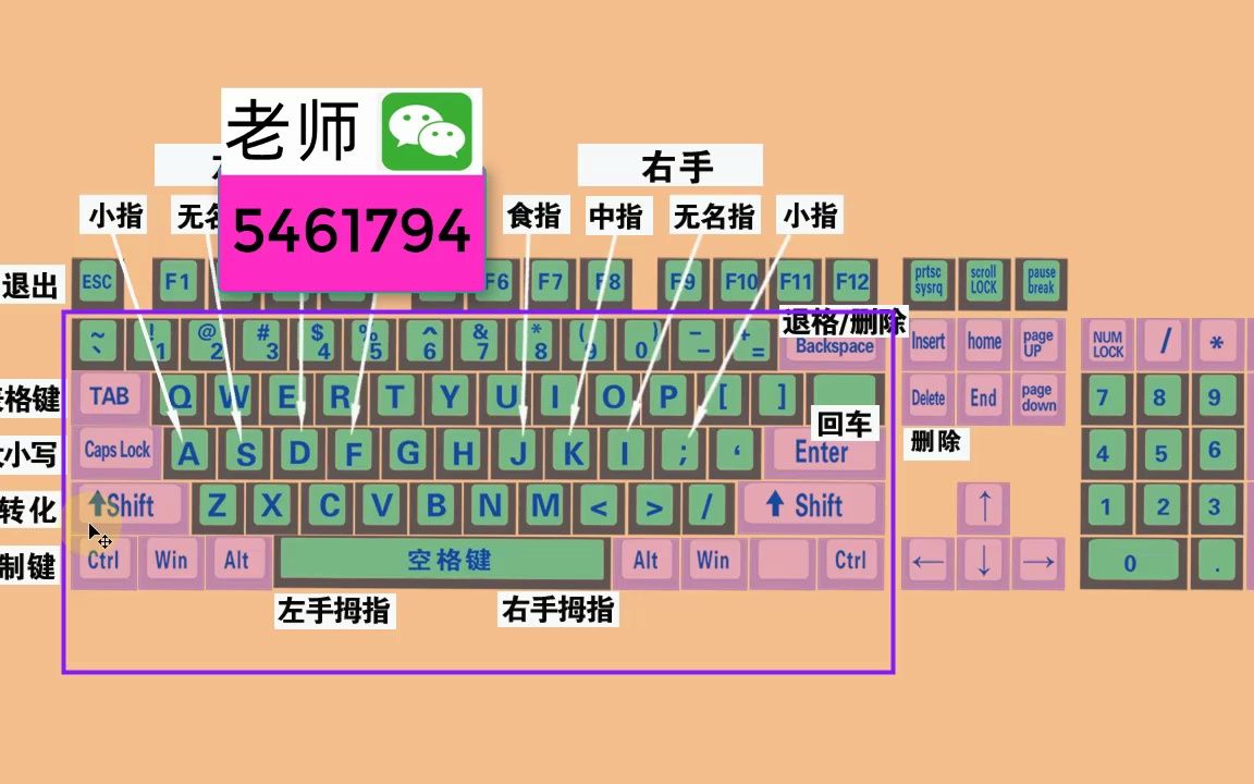 零基础学电脑打字,快速学会键盘打字,适合初学者学习