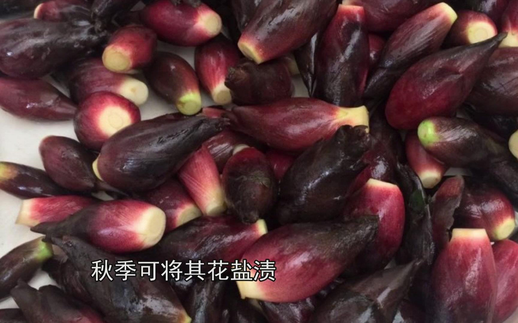 农村随处可见的野菜,却被日本称为“人参”,你吃过吗?哔哩哔哩bilibili