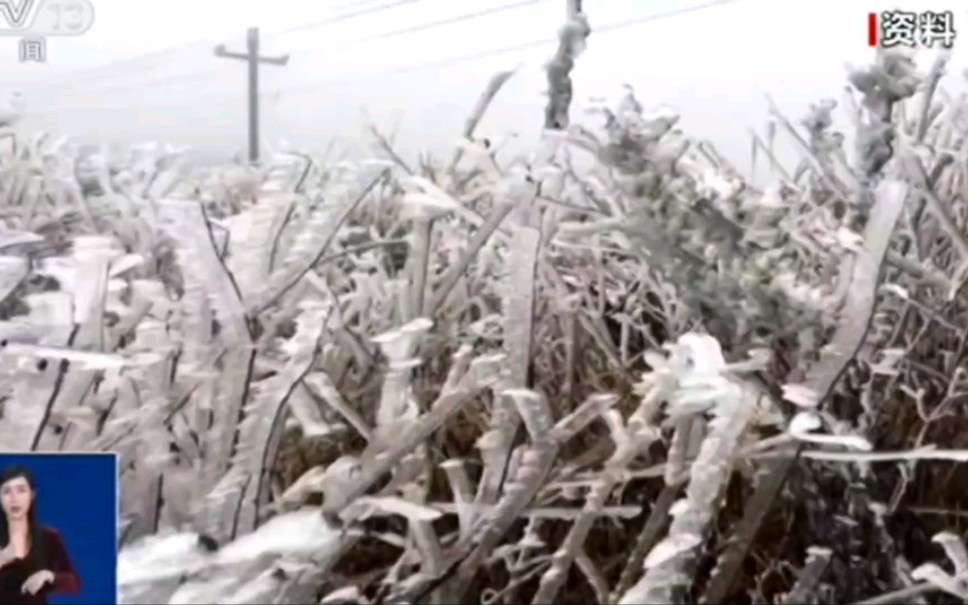 冻雨、凝冻天气是什么?是下雪吗?哔哩哔哩bilibili