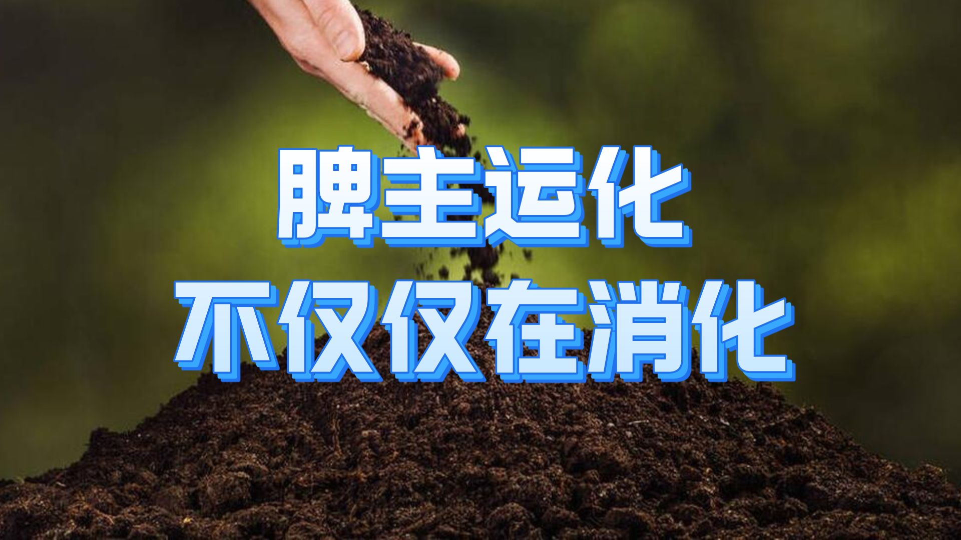 脾主运化不仅消化,重在气血津液精气神哔哩哔哩bilibili