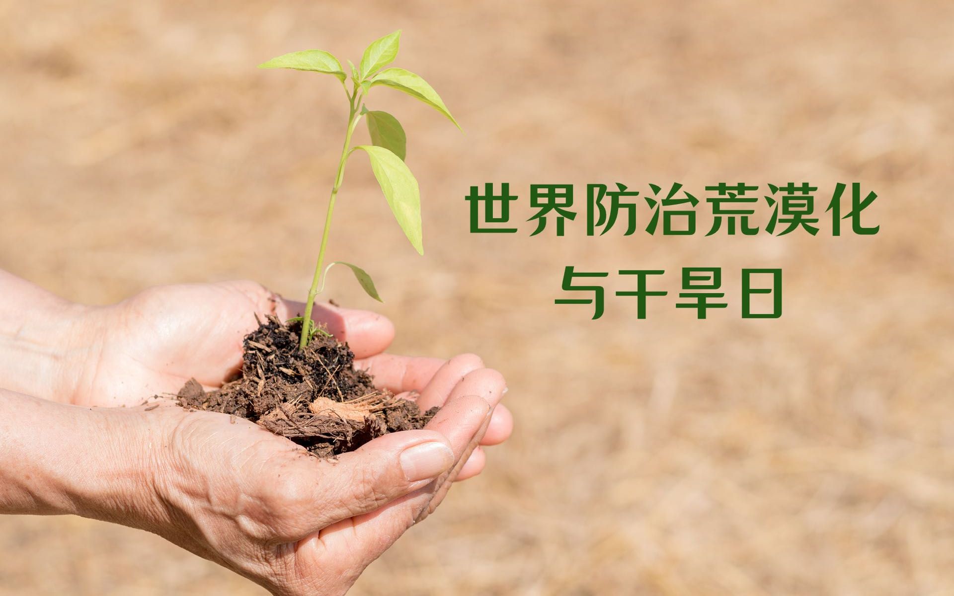 [图]世界防治荒漠化与干旱日 | 携手防治荒漠化 共建命运共同体