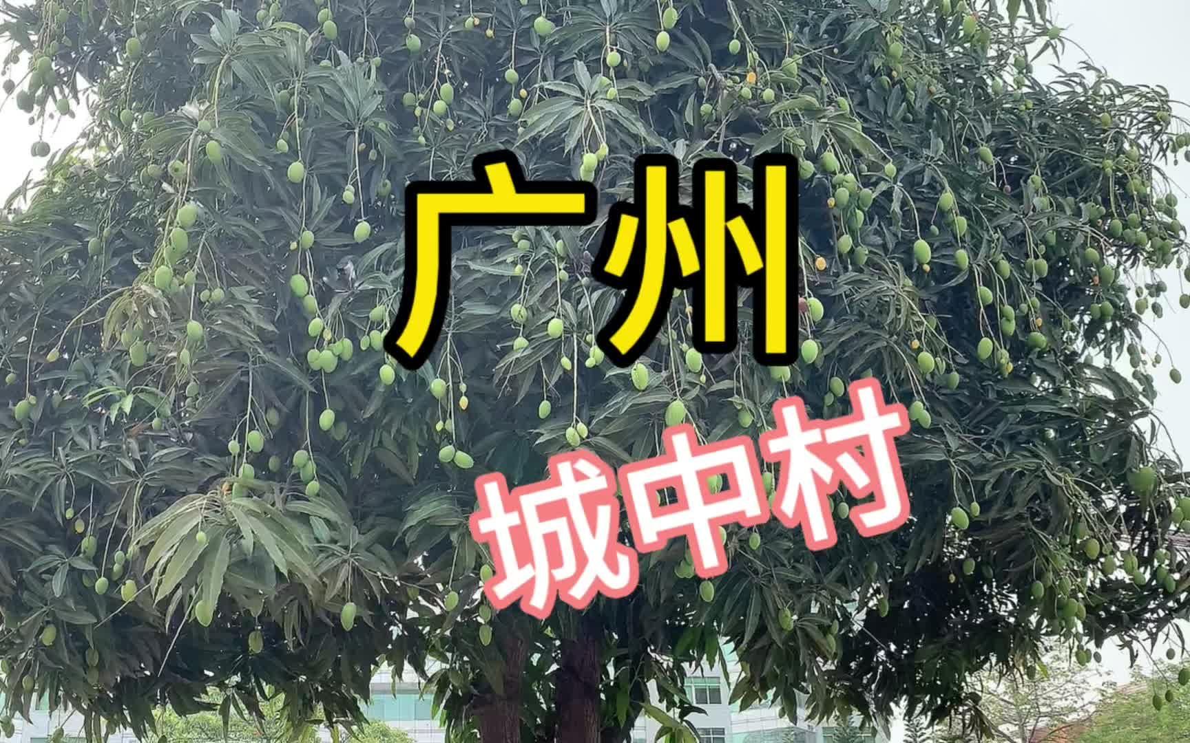 广州城中村!一座不一样的城市!总要来一次广州吧哔哩哔哩bilibili