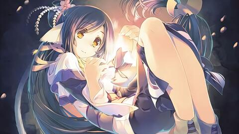 搜索 哔哩哔哩 つロ 干杯 Bilibili