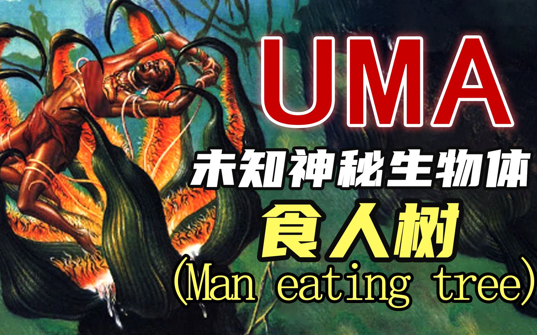 【UMA系列】第四期:马达加斯加食人树传说哔哩哔哩bilibili