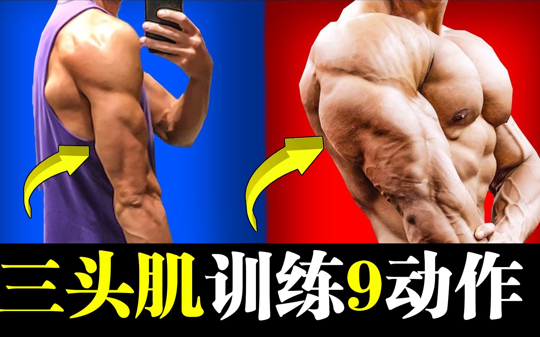 这9个基础训练动作,锻炼三头肌肌肉,拥有强壮的三头肌_哔哩哔哩_bilibili